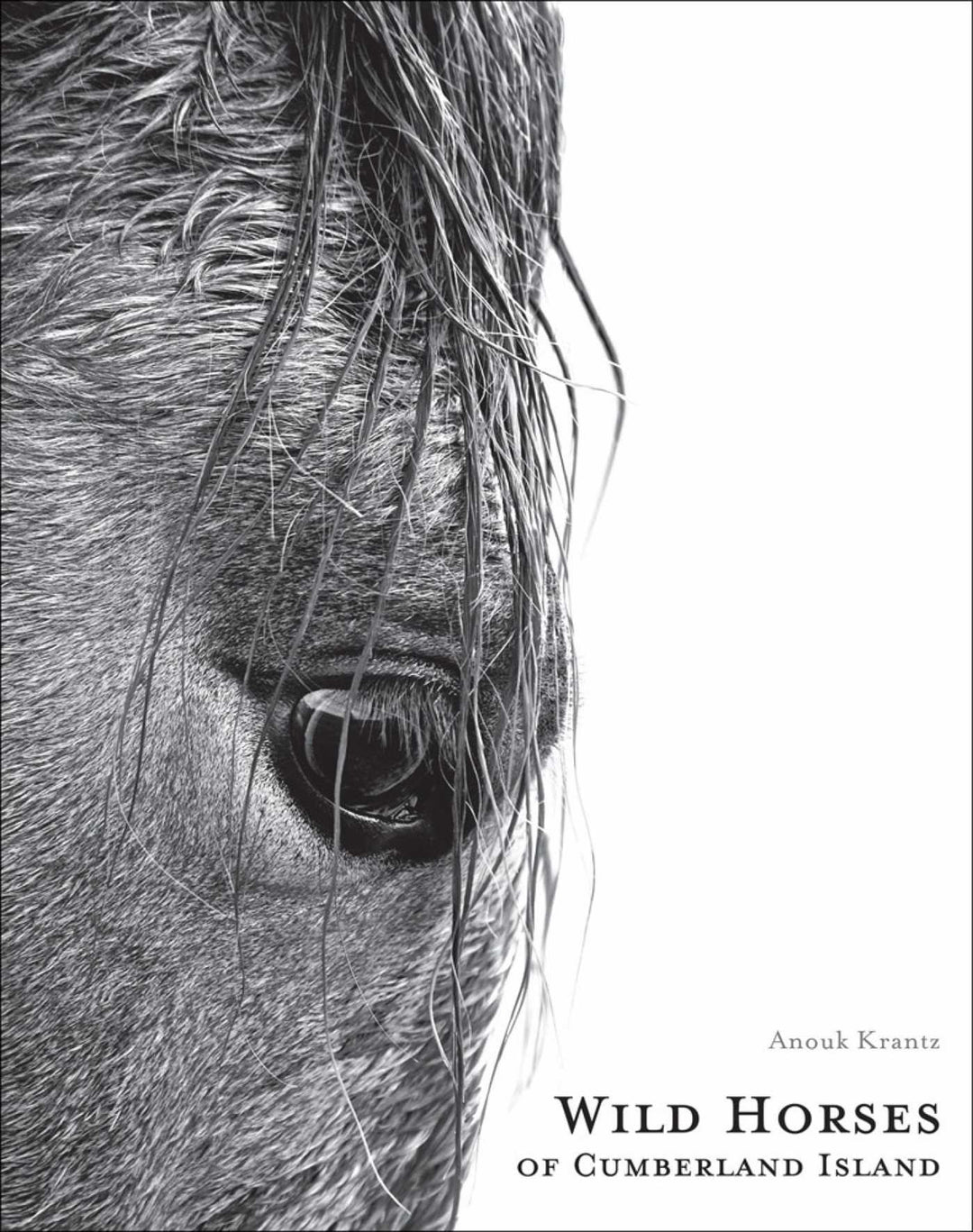 Simon & Schuster - Wild Horses of Cumberland Island Book
