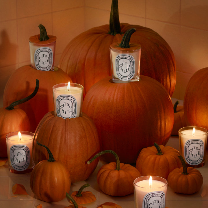 Diptyque - Citrouille Classic Candle