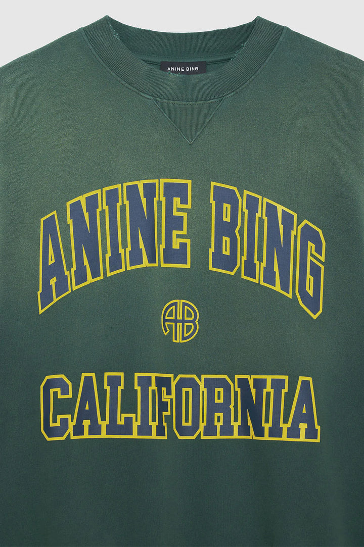 Anine Bing - Jaci Sweatshirt California in Washed Faded Green