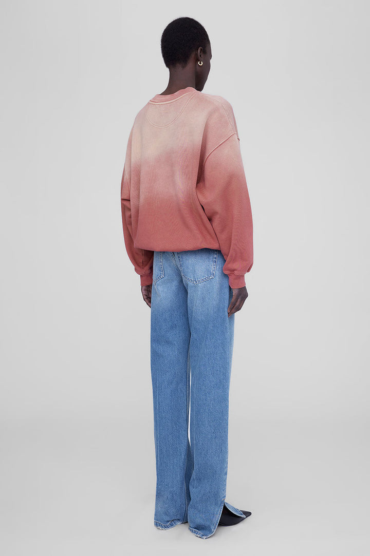 Anine Bing - Jaci Sweatshirt University Paris in Washed Faded Terracotta