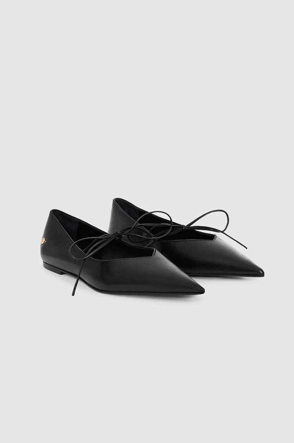 Anine Bing - Nikki Flat in Black