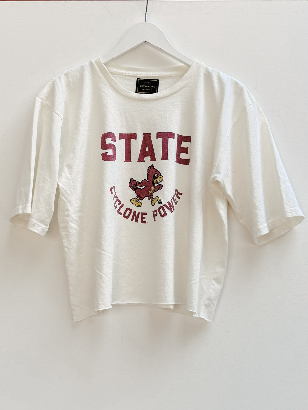 Retro Brand x BG - Iowa State Heavy Weight Tee in Antique White Graphic Tee