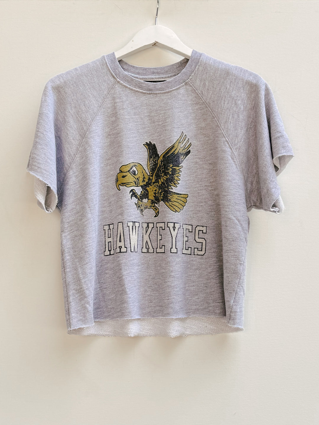 Retro Brand x BG - Iowa Short Sleeve Sweatshirt in Heather Grey Graphic Sweatshirts