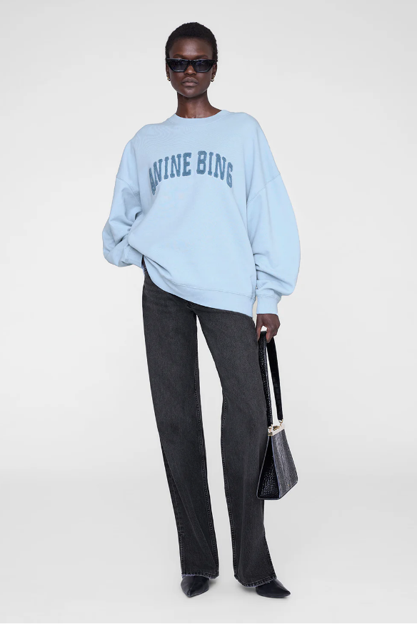 Anine Bing - Miles Sweatshirt in Pale Blue