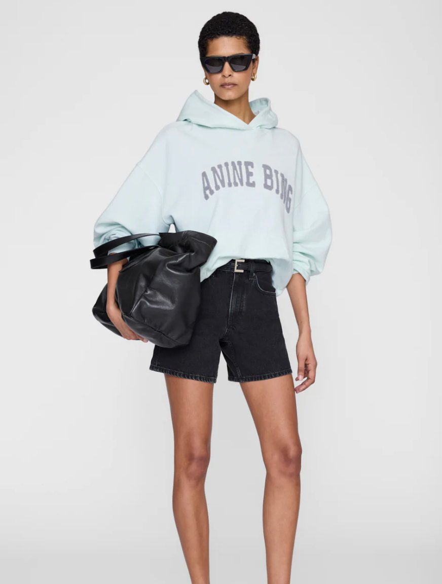 ANINE BING - Harvey Sweatshirt in Spring Mint Hoodie