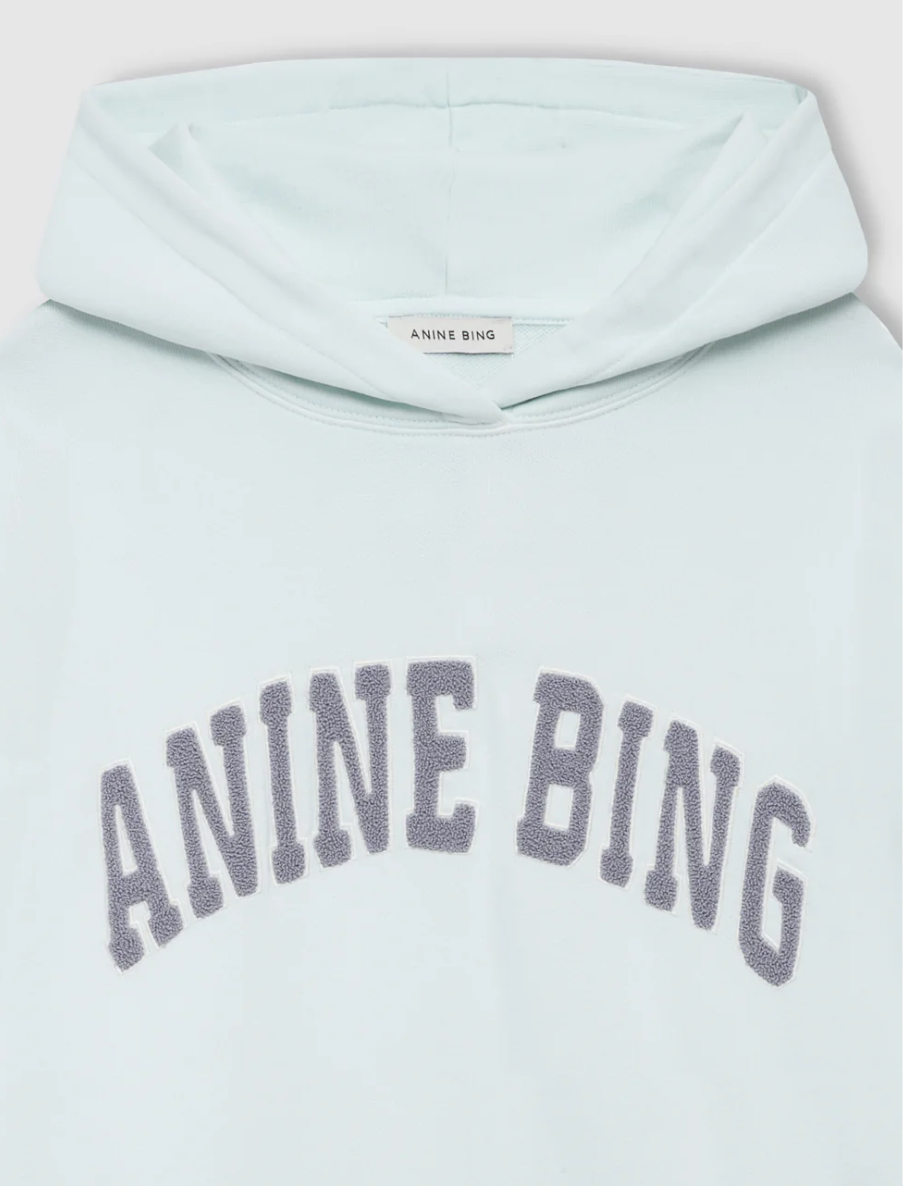 ANINE BING - Harvey Sweatshirt in Spring Mint Hoodie