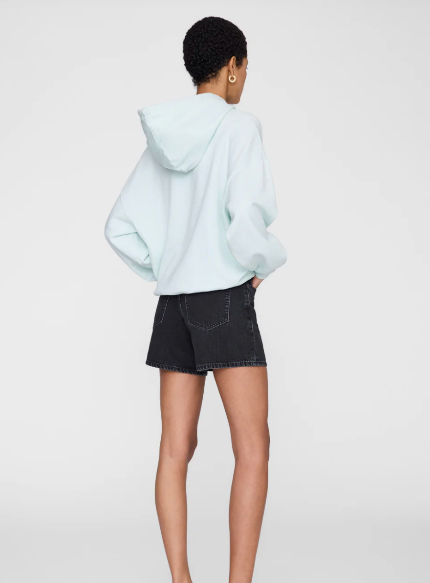 ANINE BING - Harvey Sweatshirt in Spring Mint Hoodie