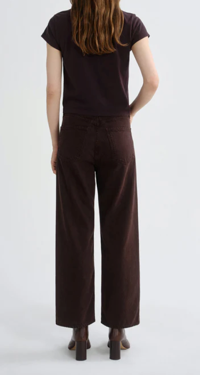AGOLDE - Ren Jean in Sloe Berry Jeans