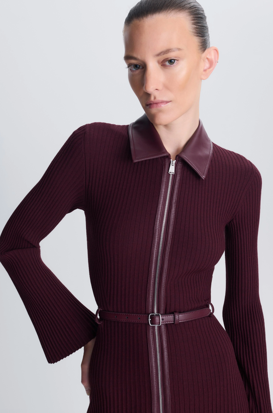 SIMKHAI - Ismelle Collared Dress in Fig Dresses