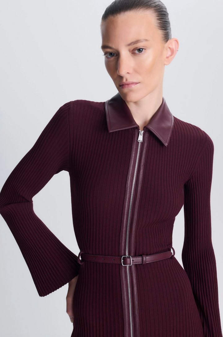 SIMKHAI - Ismelle Collared Dress in Fig Dresses