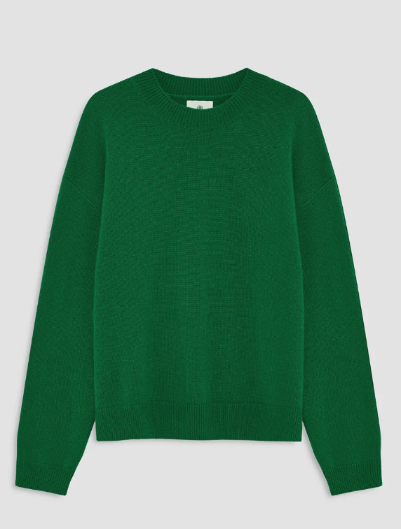 ANINE BING - Lee Crew Sweater in Green Sweaters