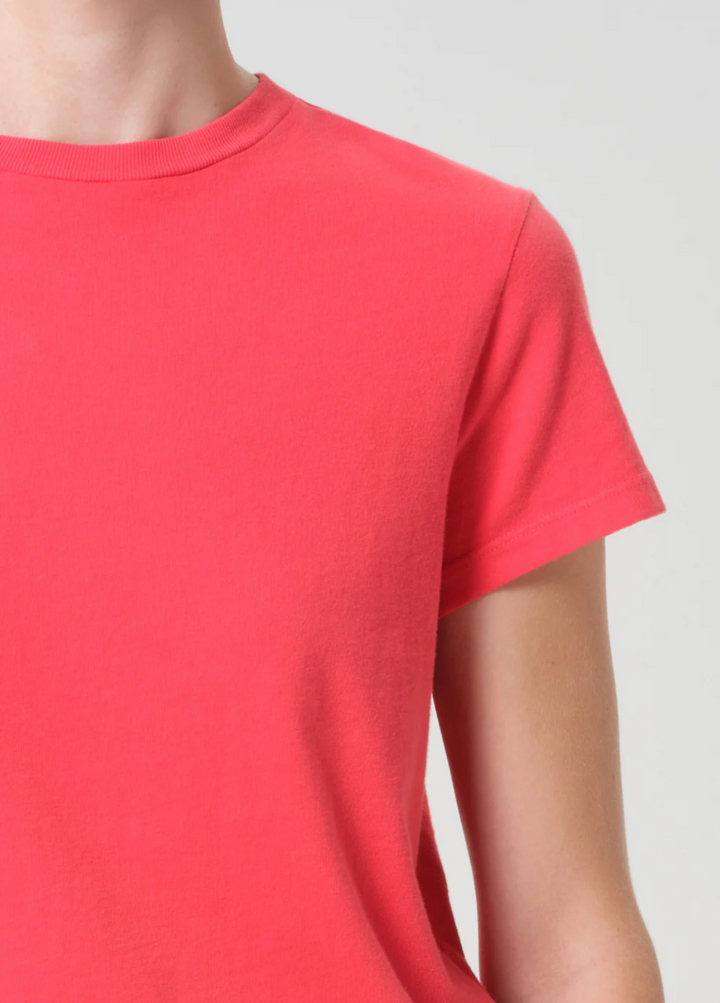 AGOLDE - Adine Shrunken Tee in Carnival Short Sleeve Tees