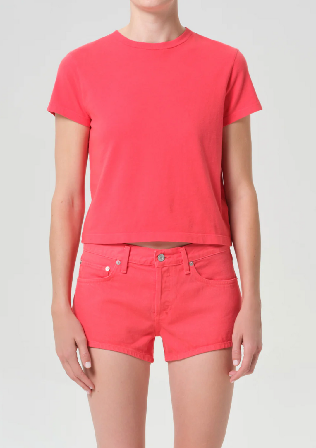 AGOLDE - Adine Shrunken Tee in Carnival Short Sleeve Tees