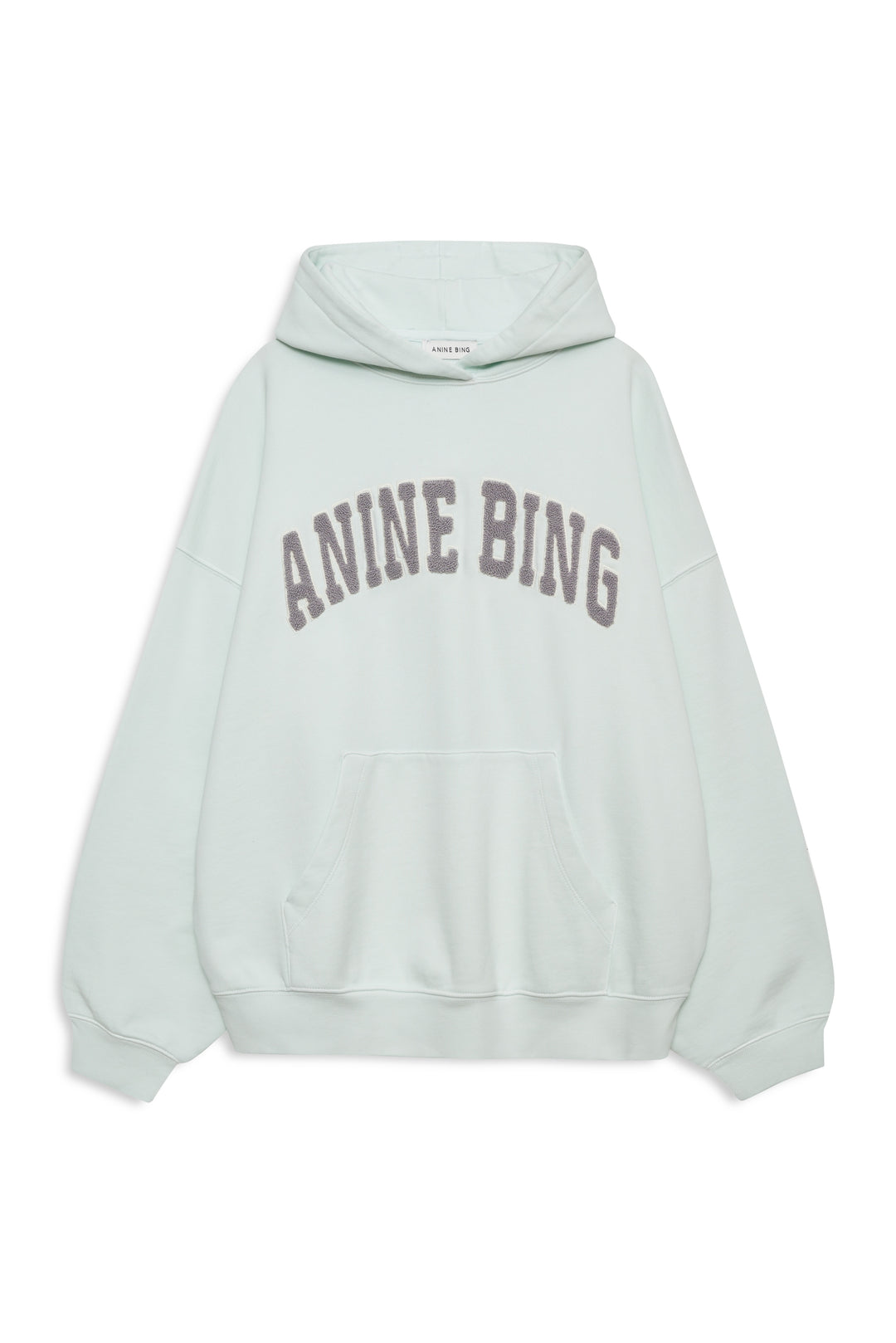 ANINE BING - Harvey Sweatshirt in Spring Mint Hoodie