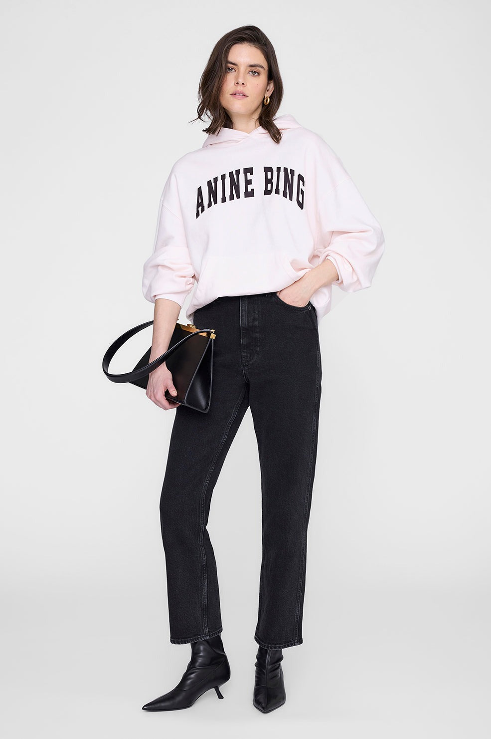 ANINE BING - Harvey Sweatshirt in Washed Pink Hoodie