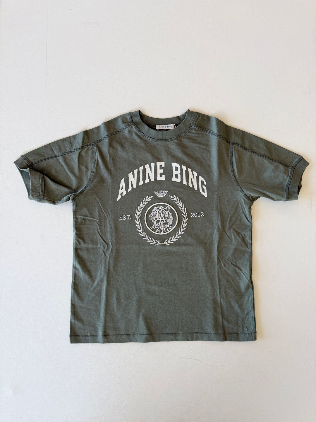 ANINE BING - Jaylin Tee Collegiate in Washed Sage T-Shirts