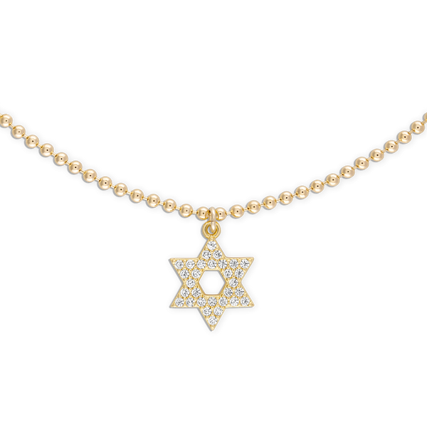 Alexa Leigh - Crystal Star of David Necklace in Gold