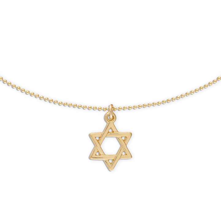 Alexa Leigh - Star of David Necklace in Gold 18"
