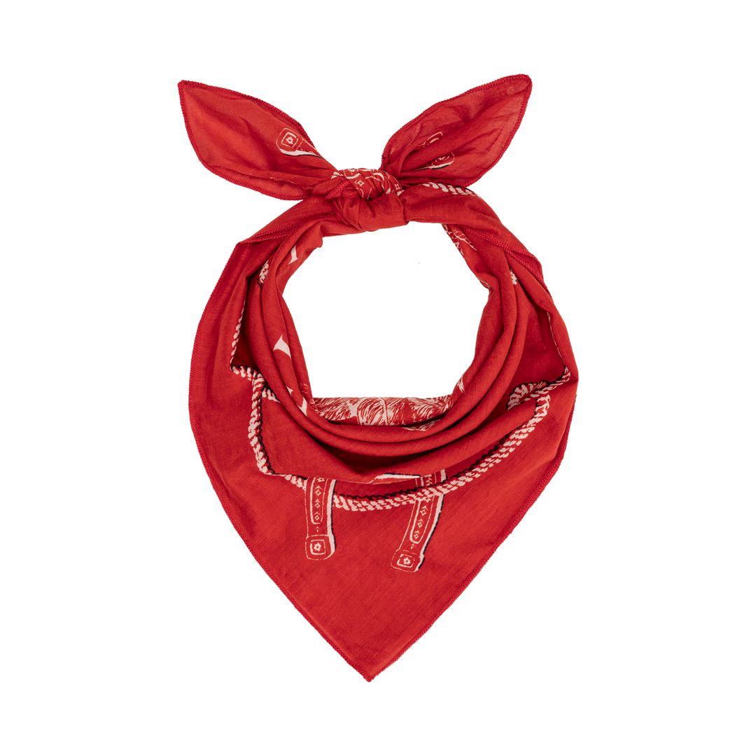 THE GREAT X STETSON - The Stetson Western  Bandana in Red Scarves