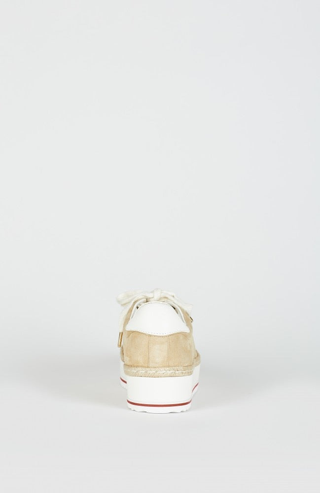 JOIE - Dabnis Sneaker in Sand