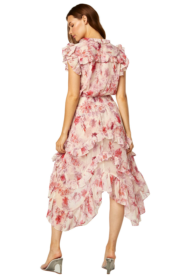 Misa - Dakota Dress in Abstract Rose Flora