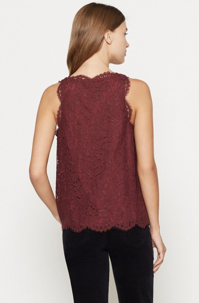 Joie JOIE -  Cina Lace Top at Blond Genius - 3