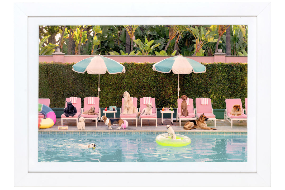 Gray Malin - Pool Day, The Beverly Hills Hotel Mini