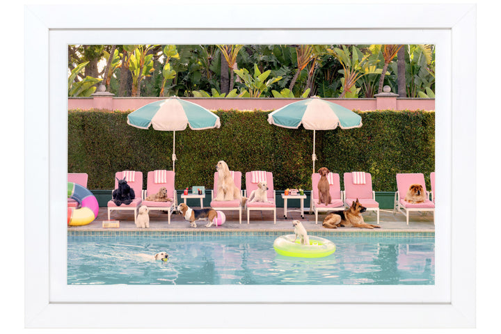 Gray Malin - Pool Day, The Beverly Hills Hotel Mini