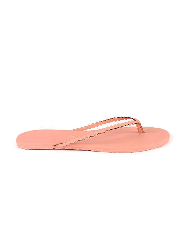 TKEES- Studio Scalloped Sophie