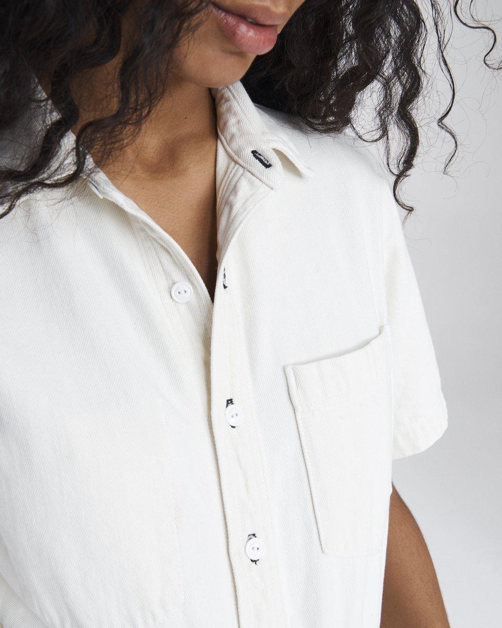 rag and bone shirt dress Reed Printed Mini Shirt Dress
