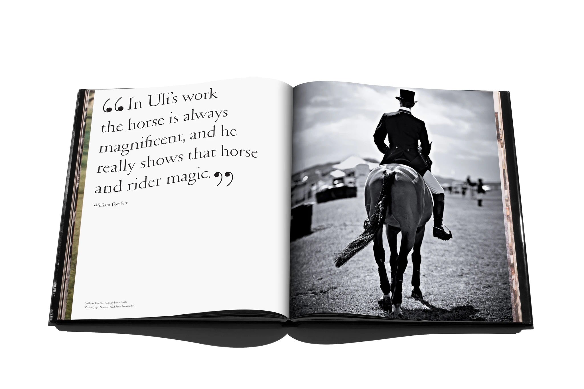 Assouline - The Allure of Horses – Blond Genius