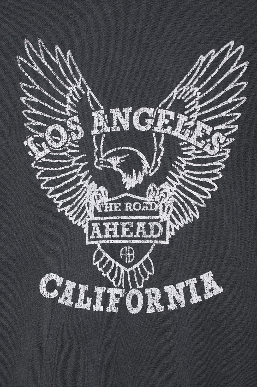 Anine Bing - Alec Hoodie White Eagle in Washed Black Sweatshirts