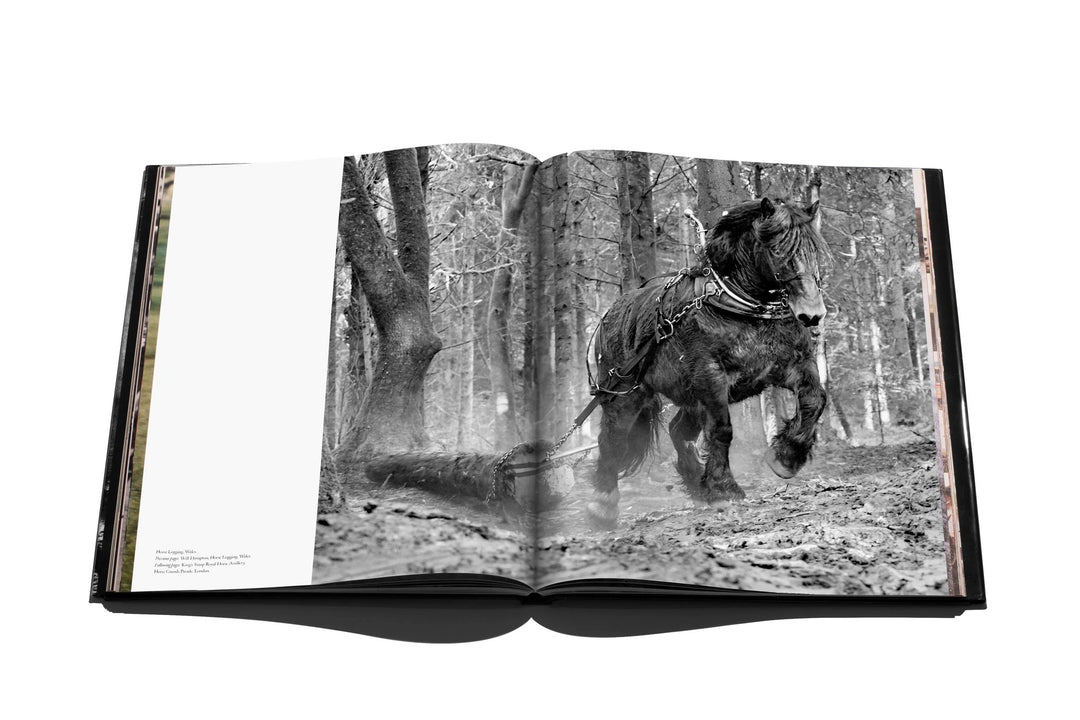Assouline - The Allure of Horses Home Decor