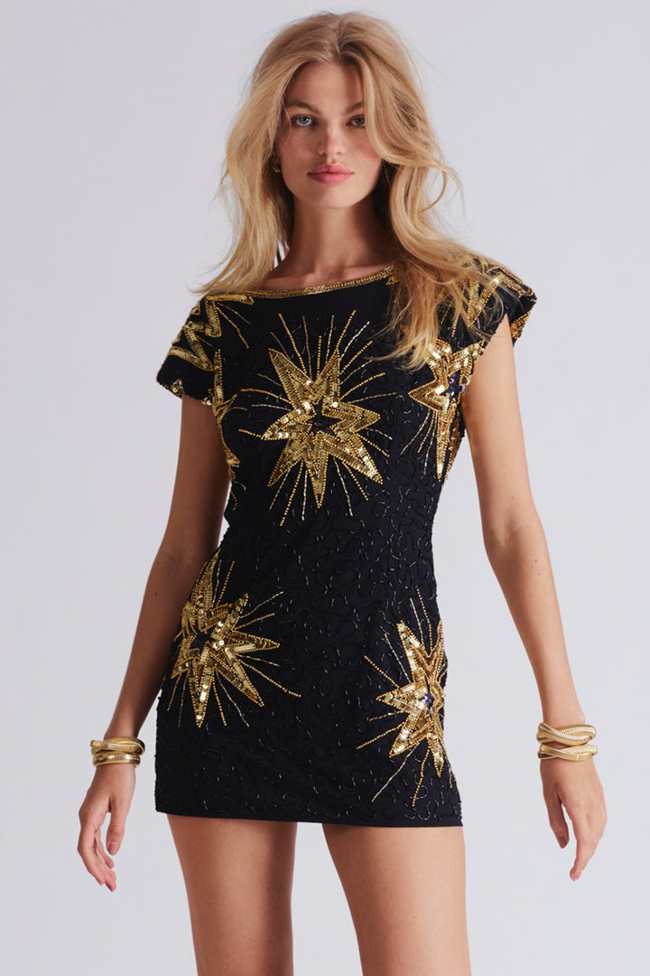 Love Shack Fancy - Colville Dress in Black