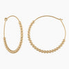 Alexa Leigh - Large Ball Hoops in Gold