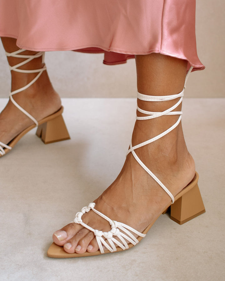 Alohas - Mirage in Camel