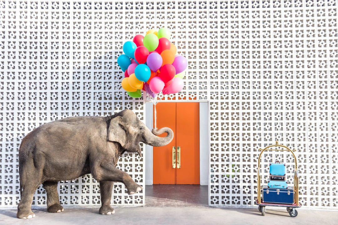 Gray Malin - You're Always Welcome at the Parker Mini, Gray Malin at the Parker